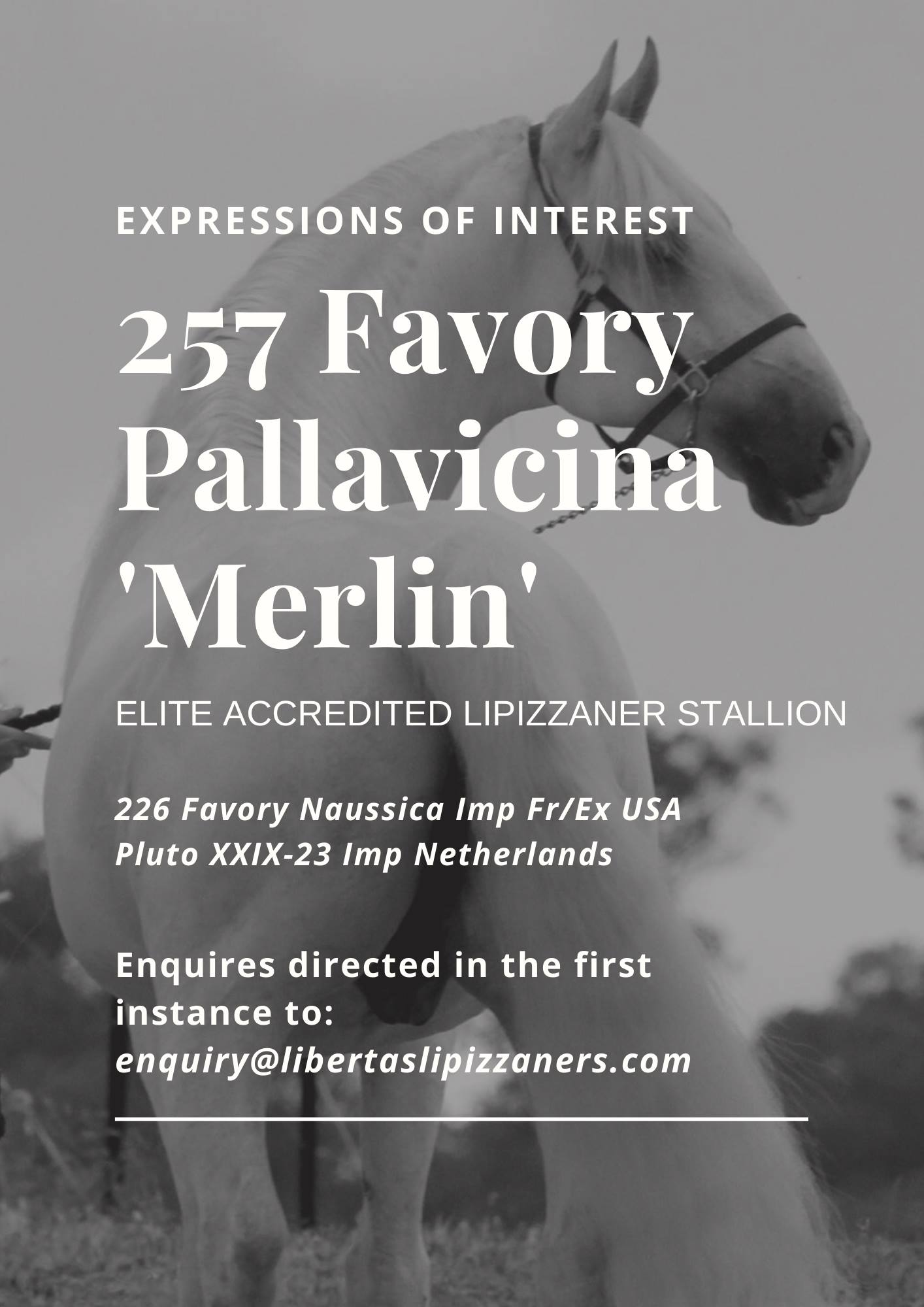 257 F Pallavicina sale ad